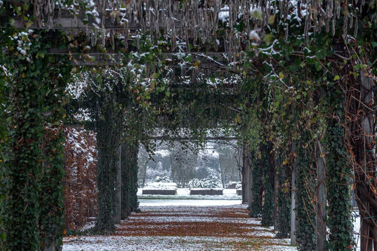 Inverno nei Giardini della Reggia di Venaria - Foto di Dario Fusaro 9