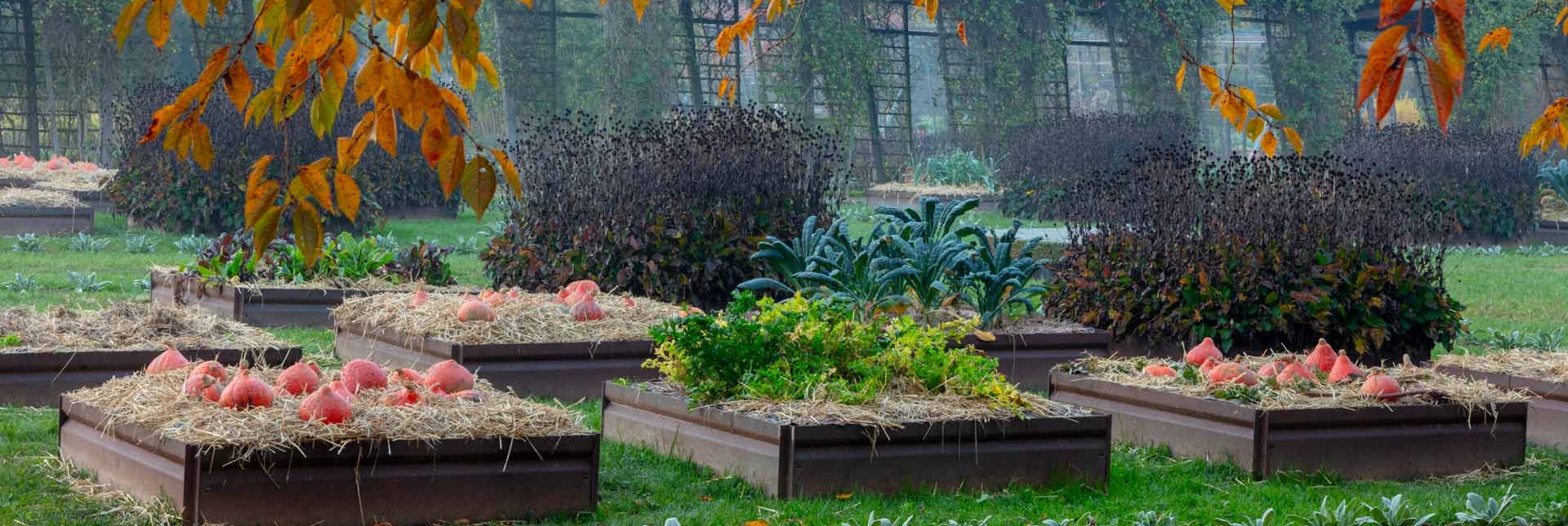 Los Jardines Los jardines en otoño - Foto de Dario Fusato