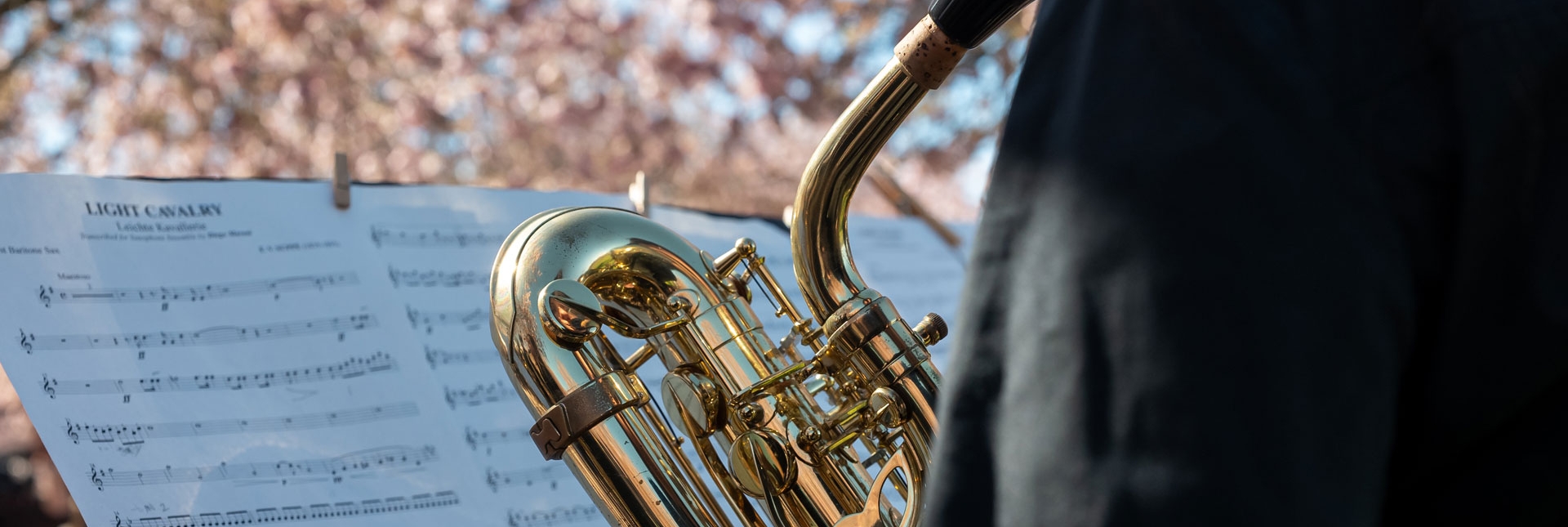 Jazz nei Giardini della Reggia di Venaria - Foto di Daniele Baldi