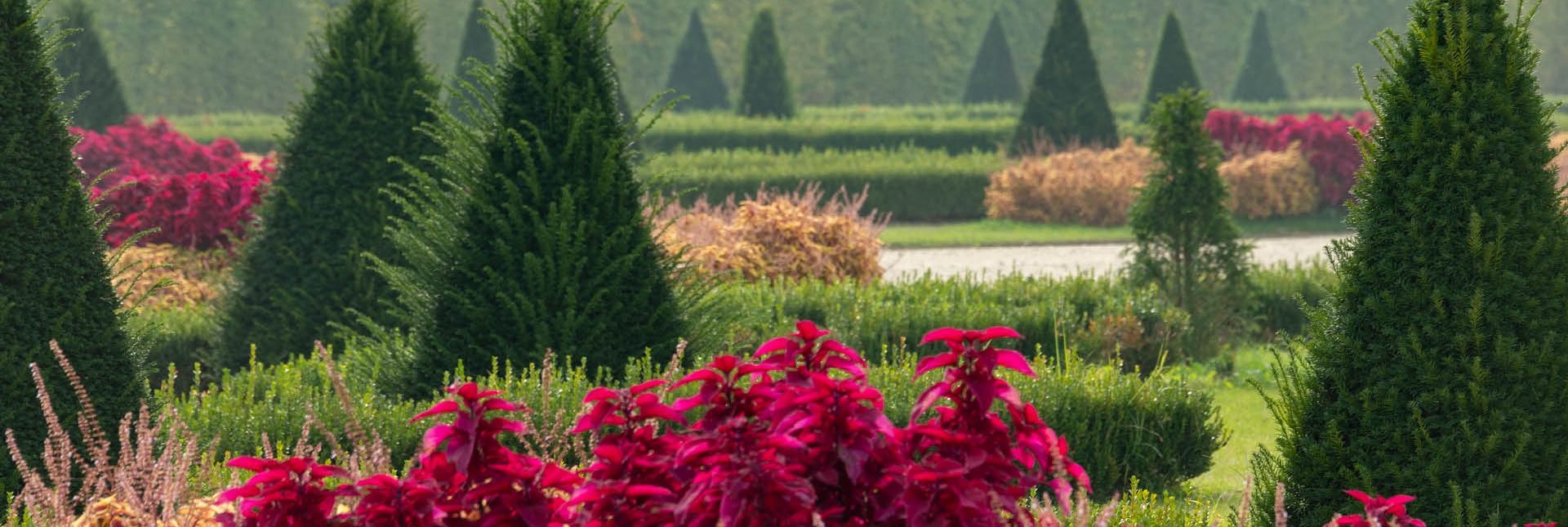 Gran Parterre -  Foto di Dario Fusaro