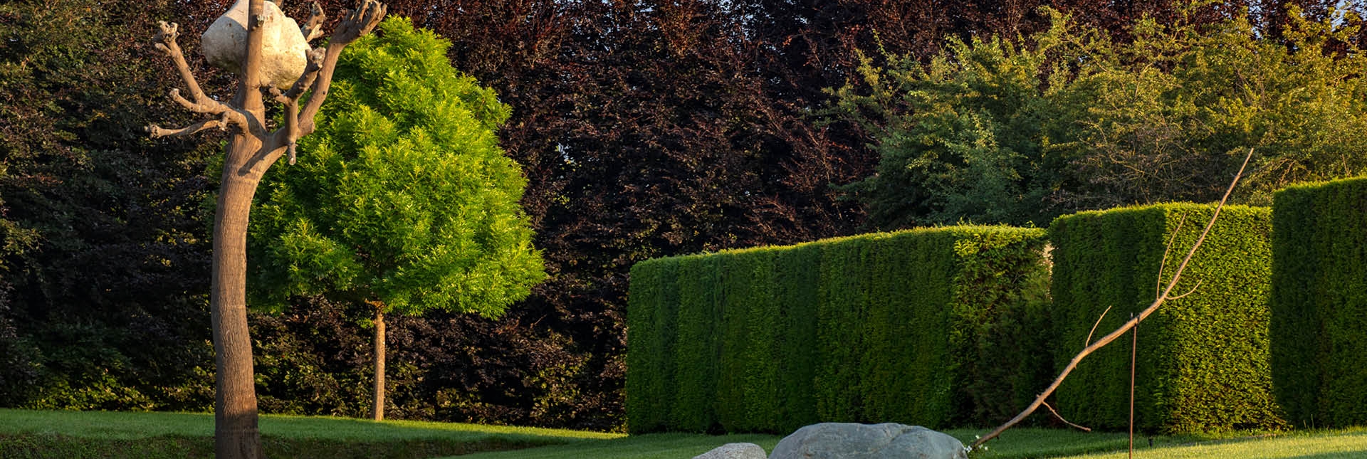 Giardino delle Sculture Fluide, Giuseppe Penone - Foto di Dario Fusaro