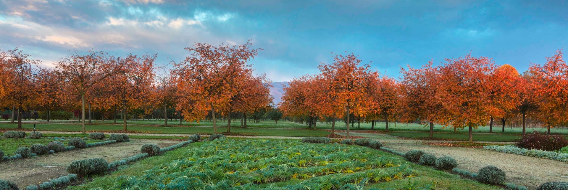 Potager Royal in autunno - Foto di Dario Fusaro