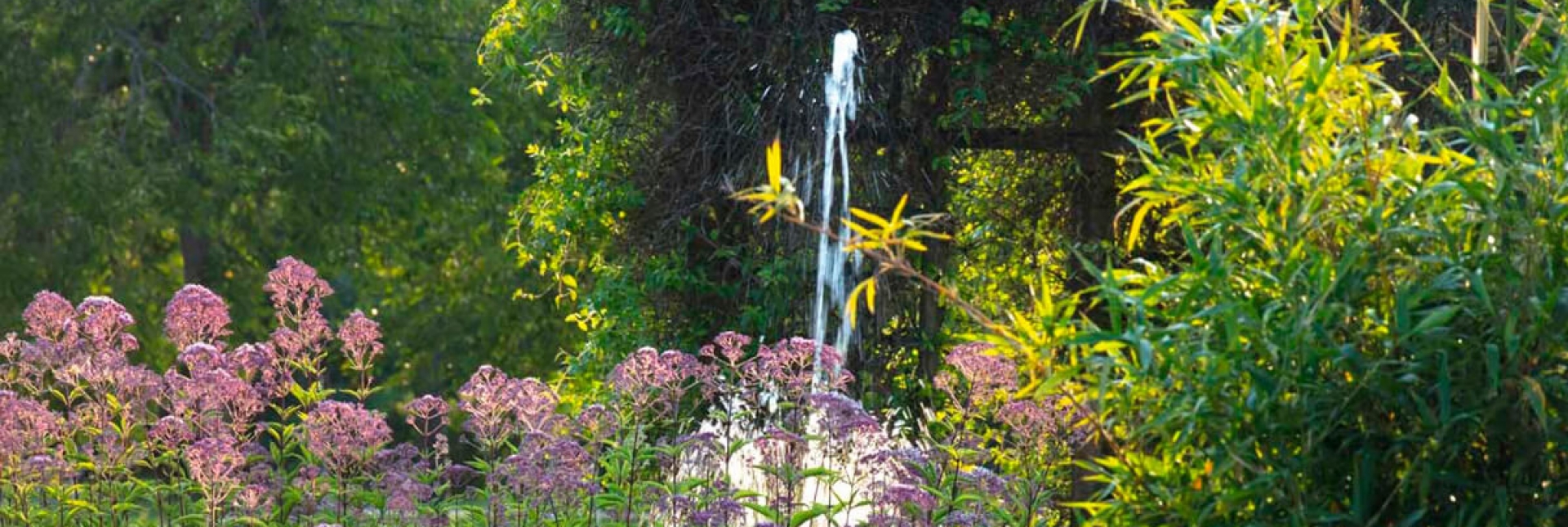 Il Potager Royal nei Giardini della Reggia di Venaria - Foto di Dario Fusaro