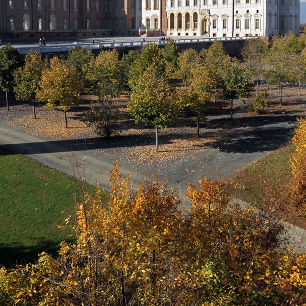 La Venaria Reale. I Giardini in autunno