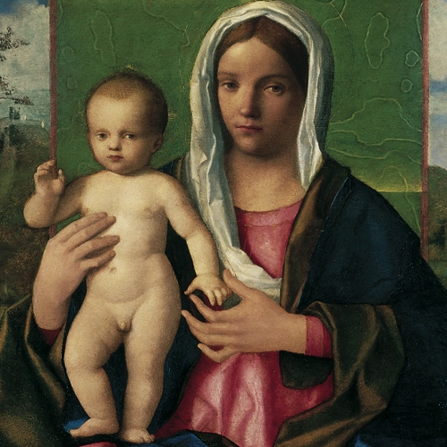 Madonna con il Bambino, 1510 - Giovanni Bellini