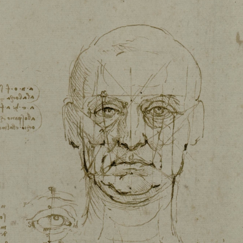 Leonardo da Vinci - “Studi di proporzioni del volto e dell’occhio”. Punta metallica e penna su carta ingiallita. 1489-90 Torino, Biblioteca Reale