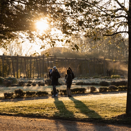 Alba nel Potager Royal dei Giardini. Foto di Micol Sacchi