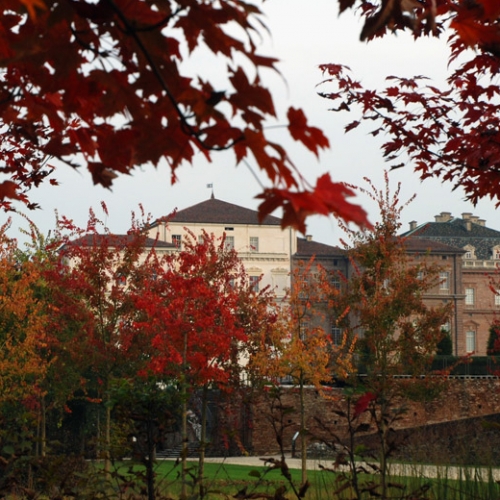 La Venaria Reale. I Giardini in autunno - Foto di Stefano Concialdi