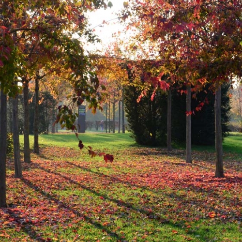 I Giardini della Reggia di Venaria in autunno - Foto di Alessio Giribuola