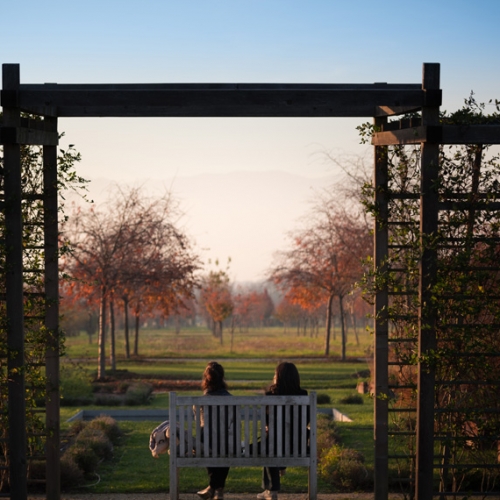 I Giardini della Reggia di Venaria in autunno - Foto di Raffaele Granato