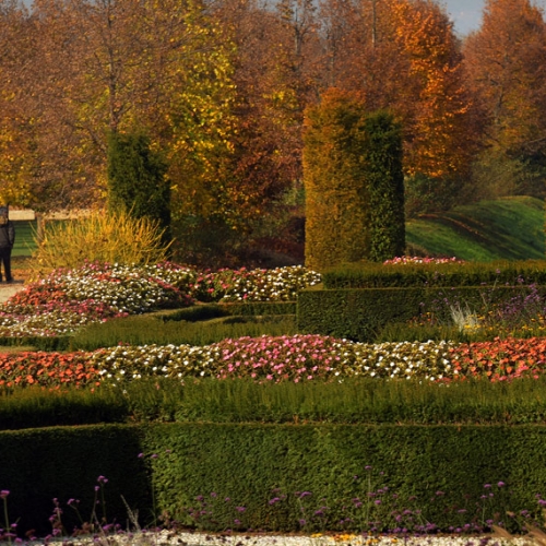 La Venaria Reale. I Giardini in autunno - Foto di Renzo Miglio