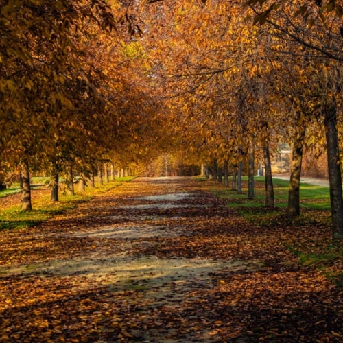 Autunno nei Giardini - Foto di Antony Cavallo