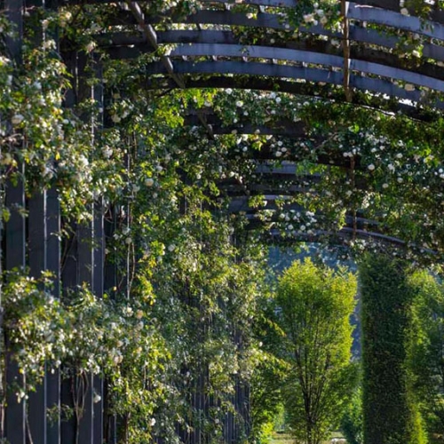 Giardino delle Rose - Foto di Dario Fusaro