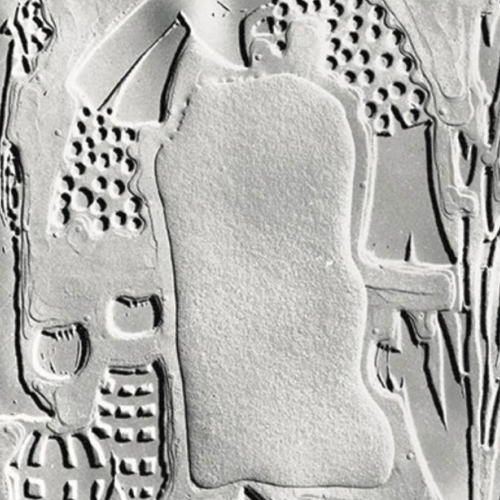 Ezio Gribaudo Logogrifo, rilievo su carta buvard, 46 x 60 cm, 1968 Cortesia Archivio Gribaudo
