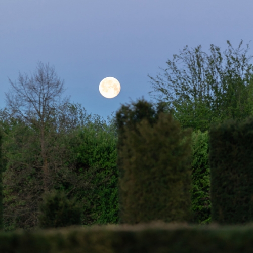 Alba sui Giardini, luna piena. Foto di Micol Sacchi
