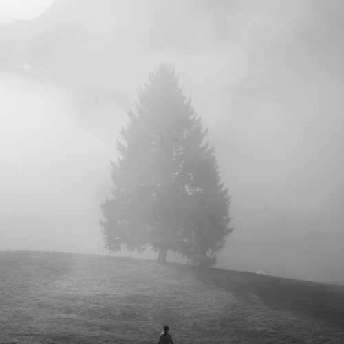 Family quarantining in the mountains during the Covid-19 pandemic. Emma, 6, runs through a field in front of the farmhouse we were staying in. Switzerland, 2020. ©Paolo Pellegrin/Magnum Photos