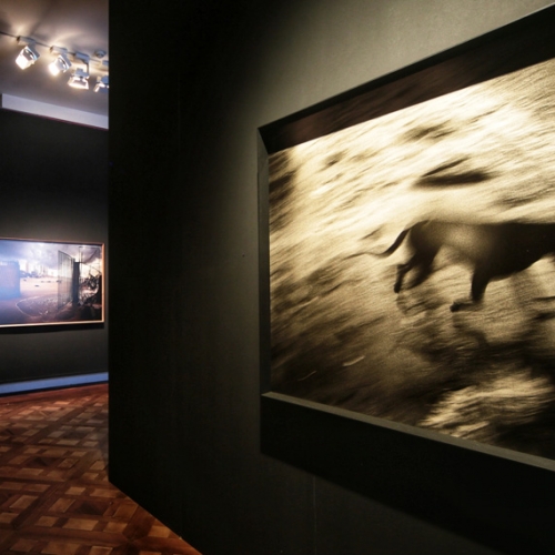 Paolo Pellegrin Anthology. The exhibition