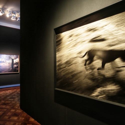 Paolo Pellegrin. Une anthologie. L'exposition