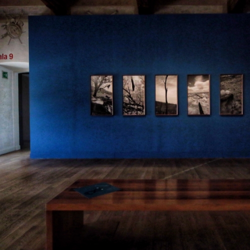 Paolo Pellegrin Anthology. The exhibition