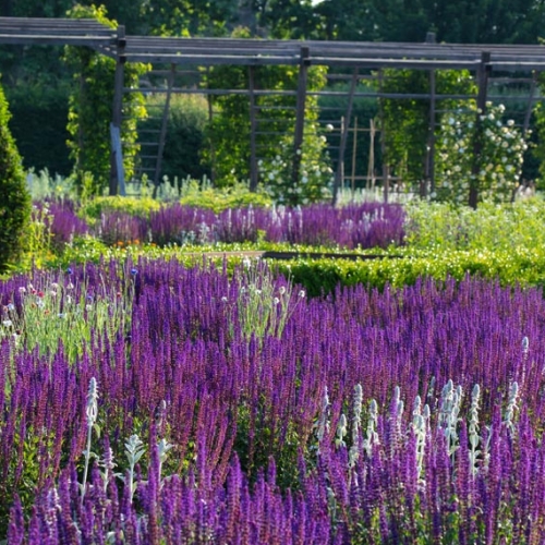 Potager Royal - Foto di Dario Fusaro