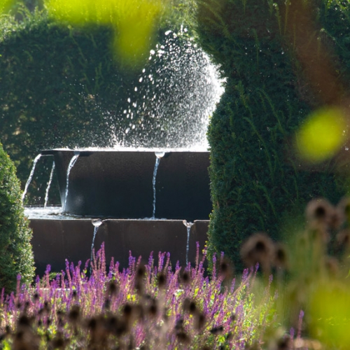 Potager Royal, giochi d'acqua - Foto di Dario Fusaro
