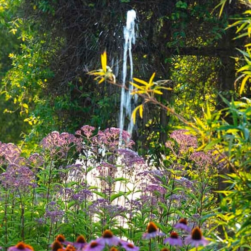 Il Potager Royal nei Giardini della Reggia di Venaria - Foto di Dario Fusaro