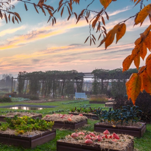 Il Potager Royal nei Giardini della Reggia - Foto di Dario Fusaro