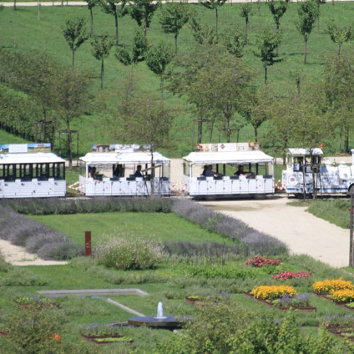 Il trenino dei Giardini nel Potager Royal