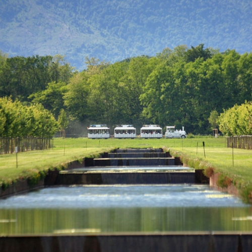 Il trenino dei Giardini nell'Allea Centrale