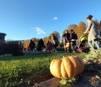 Le zucche nel Potager Royal 