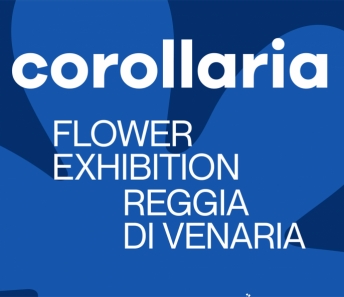Corollaria
