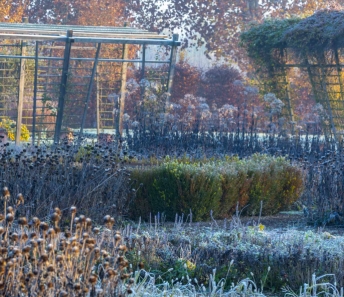 Giardini della Reggia di Venaria in inverno - Foto di Dario Fusaro