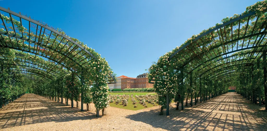 Reggia di Venaria - Giardino delle Rose
