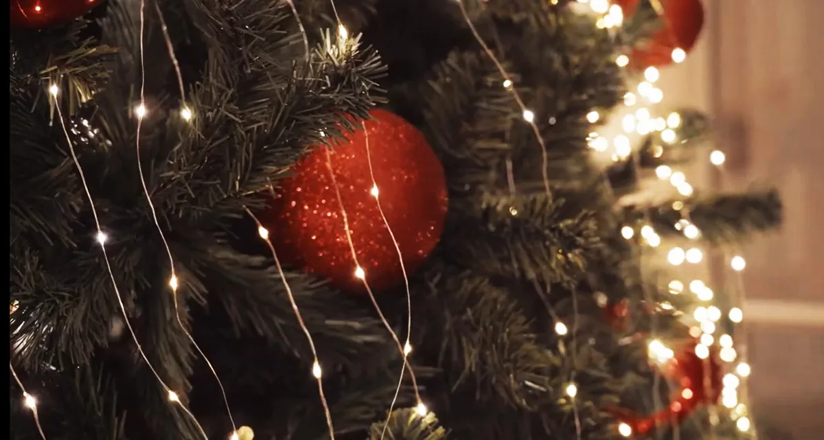 Albero di Natale alla Reggia di Venaria - Particolare