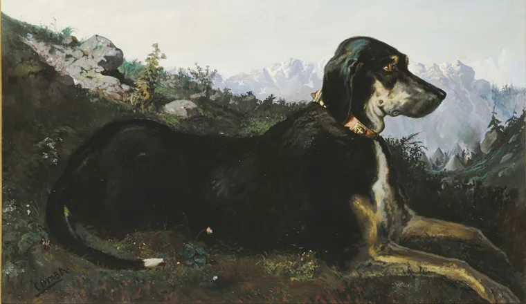 Francesco Comba - Cane di Sua Maestà