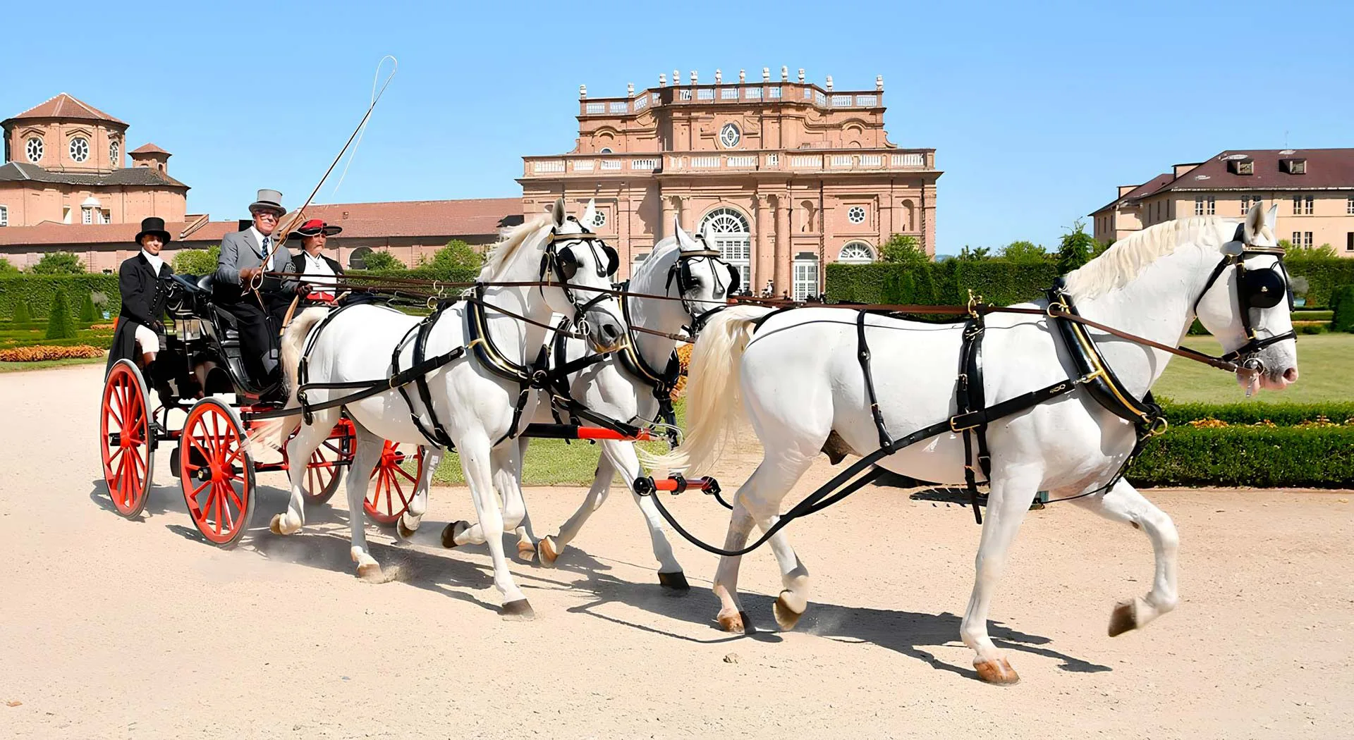 Carrozza del Concorso Internazionale Attacchi nei Giardini della Reggia di Venaria