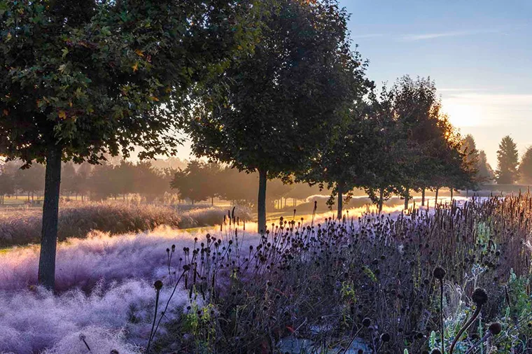Autunno nei Giardini della Reggia di Venaria - Foto di Dario Fusaro 1
