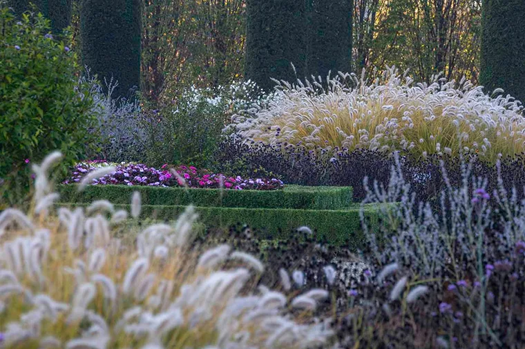 Autunno nei Giardini della Reggia di Venaria - Foto di Dario  Fusaro 10