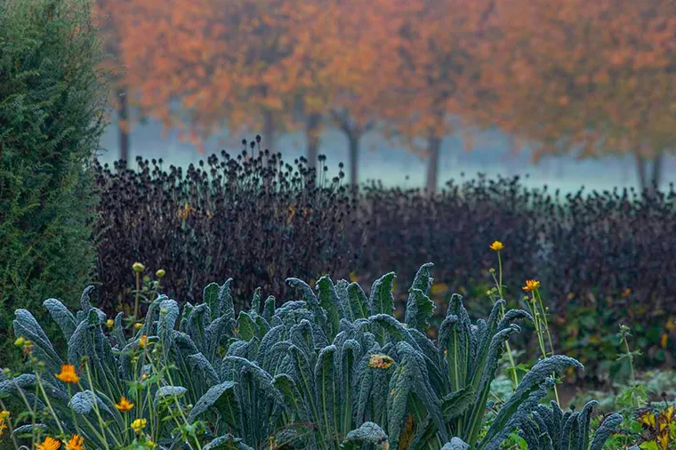 Autunno nei Giardini della Reggia di Venaria - Foto di Dario  Fusaro 11