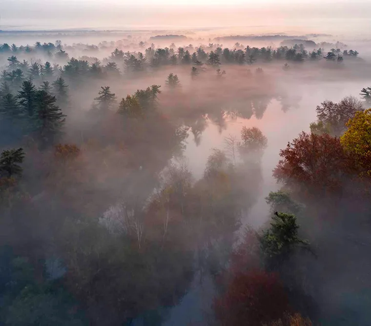 Autunno nel Parco della Mandria - Foto di Dario Fusaro 13