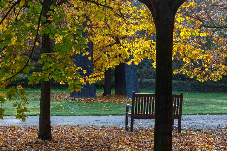 Autumn in the Gardens of the Reggia di Venaria - Photo by Dario Fusaro 14
