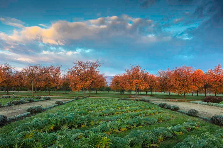 Autunno nei Giardini della Reggia di Venaria - Foto di Dario Fusaro 2