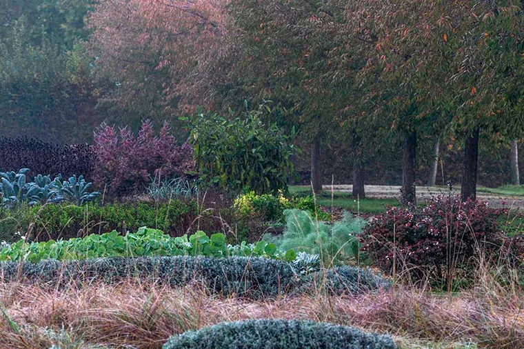 Autunno nei Giardini della Reggia di Venaria - Foto di Dario Fusaro 6