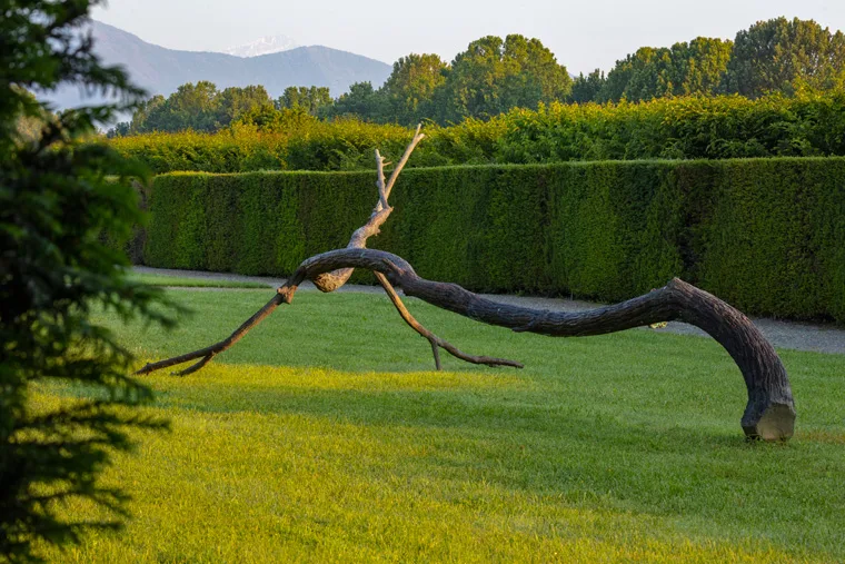Estate nei Giardini della Reggia di Venaria - Foto di Dario Fusaro 31
