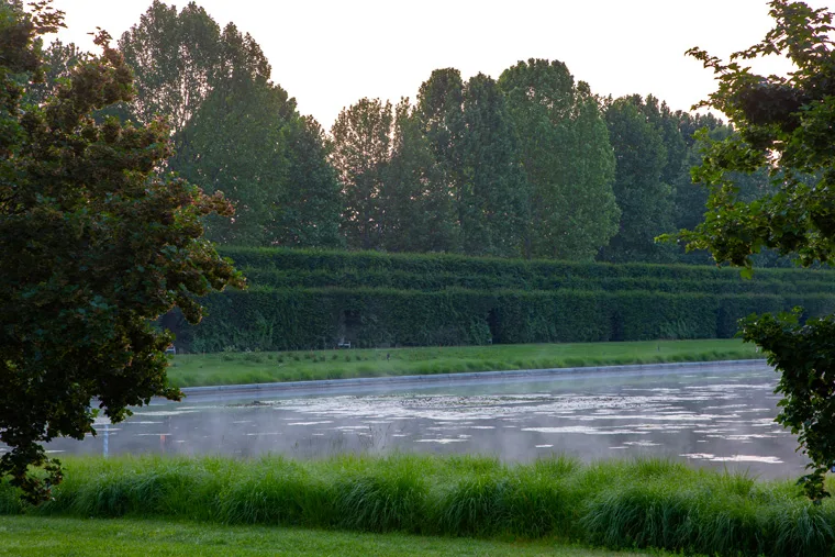 Estate nei Giardini della Reggia di Venaria - Foto di Dario Fusaro 32