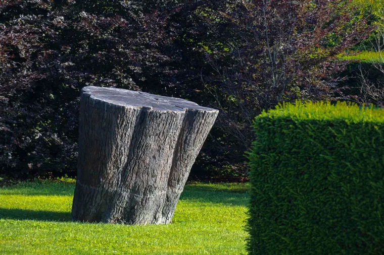 Estate nei Giardini della Reggia di Venaria - Foto di Dario Fusaro 38
