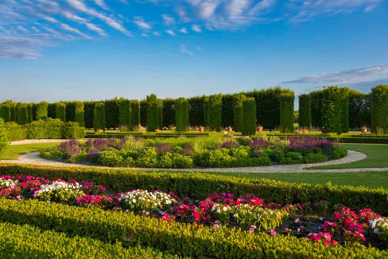 Estate nei Giardini della Reggia di Venaria - Foto di Dario Fusaro 39