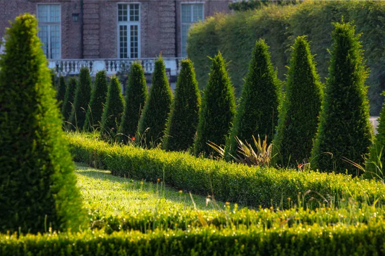 Estate nei Giardini della Reggia di Venaria - Foto di Dario Fusaro 42