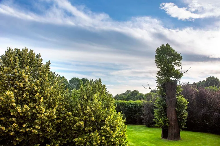 Estate nei Giardini della Reggia di Venaria - Foto di Dario Fusaro 43