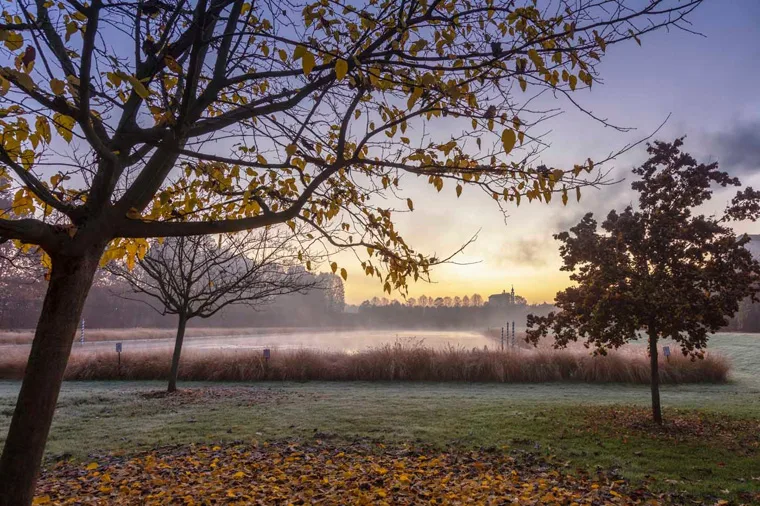 Inverno nei Giardini della Reggia di Venaria - Foto di Dario Fusaro 2